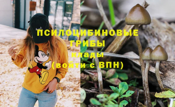 прущие крисы Аркадак